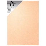 Paper Favourites Vellum A4 Pastel Gold 100g (5pcs) (PFSS913)