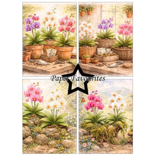 Paper Favourites Orchidea A6 Paper Pad (PFA615)