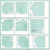 Mintay Chippies - Decor - Photo 3 - Postage as per Actual
