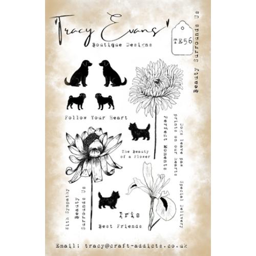 Tracy Evans Beauty Surrounds Us A5 Stamp (TE056)