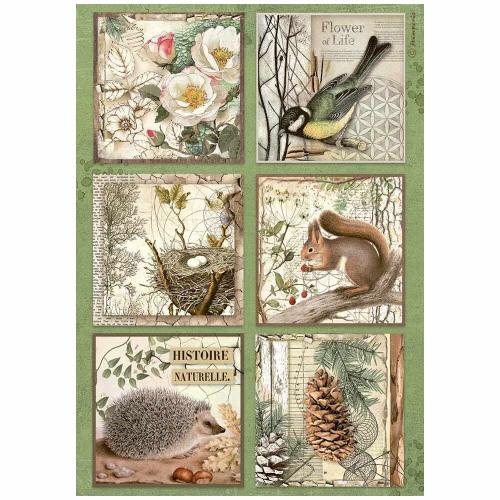 Stamperia Forest A4 Rice Paper 6 Cards (6pcs) (DFSA4952)