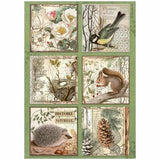 Stamperia Forest A4 Rice Paper 6 Cards (6pcs) (DFSA4952)