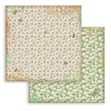 Stamperia Daisy Art 12x12 Inch Paper Pack Maxi Background Selection (SBBL183) - Postage as per Actual