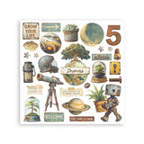 Stamperia A New Beginning Rub-On 15,5x15,5cm Assortment (6pcs) (DFLRBX10)