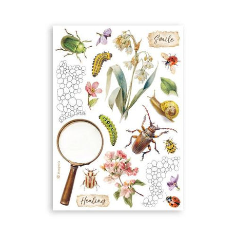 Stamperia All Around A5 Washi Pad (8pcs) (SBW33)