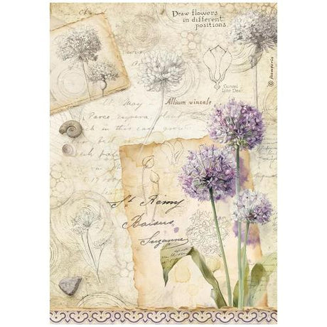 Stamperia All Around A4 Rice Paper Selection (6pcs) (DFSA4XAR)