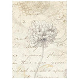 Stamperia All Around A6 Rice Paper Backgrounds Selection (8pcs) (DFSAK6054)