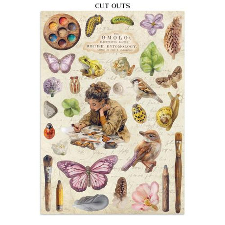 Stamperia All Around Junk Journal Stickers, Backgrounds, Cut-Outs (SBJK20)