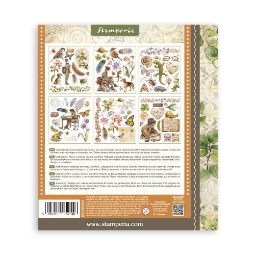 Stamperia All Around Rub-On 20,5x23cm Assortment (6pcs) (DFLRBXG07)
