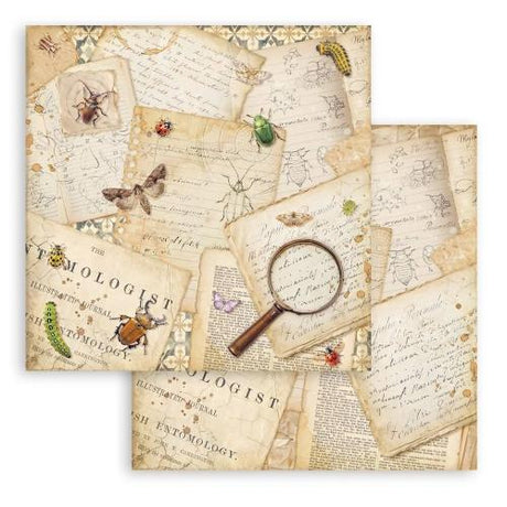 Stamperia All Around 12x12 Inch Paper Pack (SBBL187) - Postage as per Actual