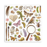 Stamperia All Around 12x12 Inch Paper Pack (Single Face) (SBBXLB37) - Postage as per Actual