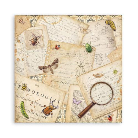 Stamperia All Around 8x8 Inch Paper Pack (Single Face) (SBBSXB25)