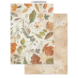 Stamperia Flowers and Poems Junk Journal Stickers, Backgrounds, Cut-Outs (SBJK31)