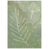 Stamperia Flowers and Poems A6 Rice Paper Backgrounds Selection (8pcs) (DFSAK6062)