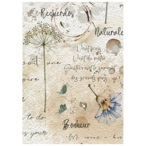 Stamperia Flowers and Poems A6 Mini Rice Paper Selection (8pcs) (DFSA6X13)