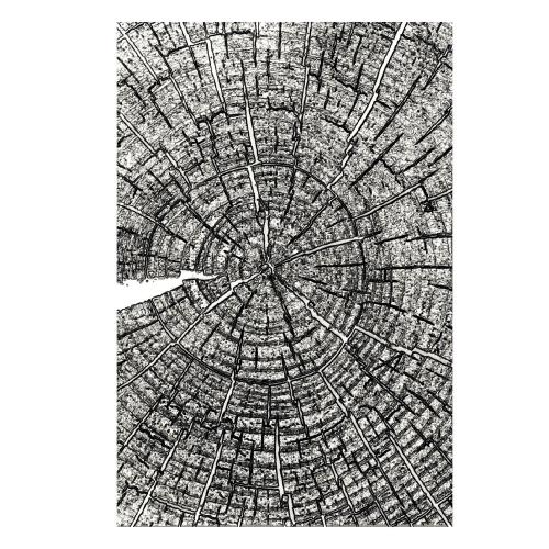 Sizzix 3D Embossing Folder A5 Tree Rings by Tim Holtz (667258)