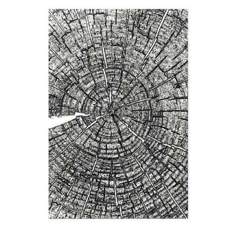 Sizzix 3D Embossing Folder A5 Tree Rings by Tim Holtz (667258)