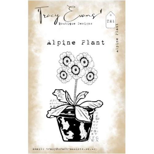 Tracy Evans - Alpine Plant (A7 stamp) (TE001)