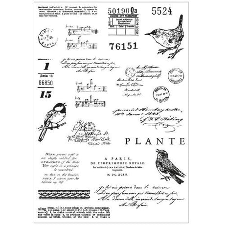Sizzix A5 Clear Stamps with Framelits Die  Bird Song by 49 and Market