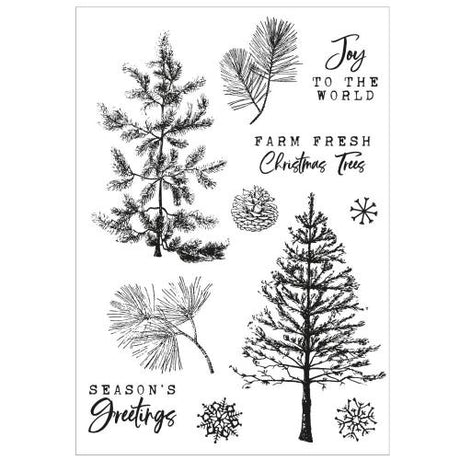 Sizzix A5 Clear Stamps with Framelits Die  Pine Holidays by 49 and Market