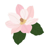 Honey Bee Stamps - Lovely Layers: Magnolia - Honey Cuts