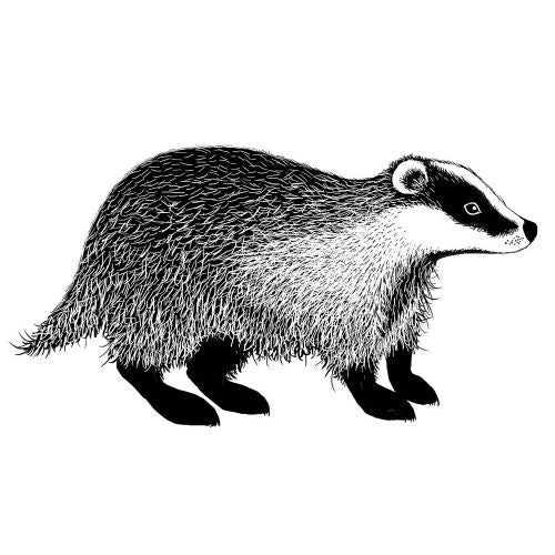 Lavinia Stamps - Badger