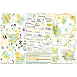 49 And Market Rub-On Transfer Set 6"X12"-Botanical Buzz - Postage as per Actual