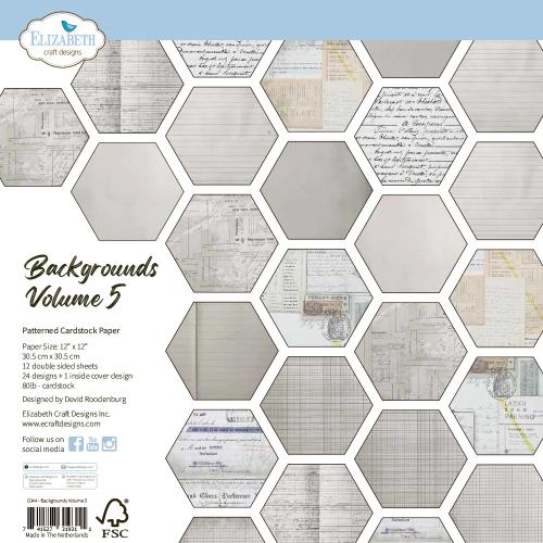 Elizabeth Craft Designs Beautifully Worn 12x12 Inch Patterned Cardstock Backgrounds Volume 5 by Devid Roodenburg (C044) - Postage as per Actual