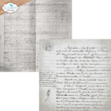Elizabeth Craft Designs Beautifully Worn 12x12 Inch Patterned Cardstock Backgrounds Volume 5 by Devid Roodenburg (C044) - Postage as per Actual