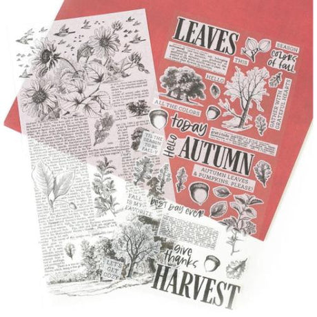 49 and Market - Full Patterned Sheet - In the Leaves Washi Tape