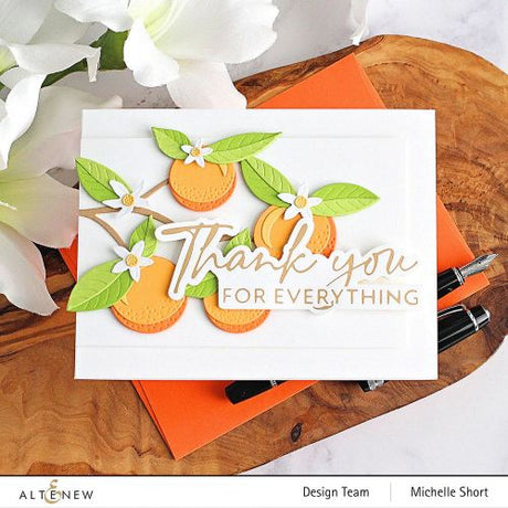 Altenew - Encouraging Sentiments - Complete Bundle - Postage as per Actual