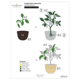 Altenew - Creative Cuts: Lemon Tree Layering Die Set