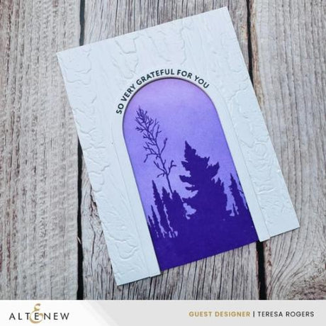 Altenew - Arched Sentiments Stamp & Die Bundle - Postage as per Actual