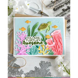 Waffle Flower - Bubbly Sentiments Combo