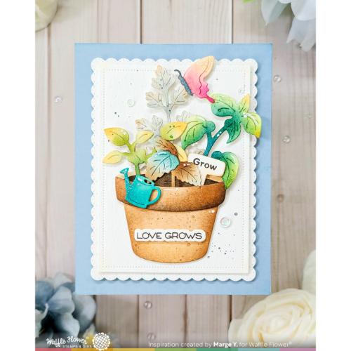 Waffle Flower - Plant Marker Combo
