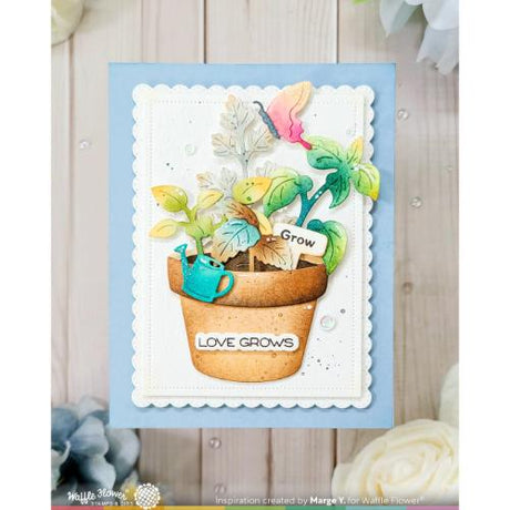 Waffle Flower - Plant Marker Combo