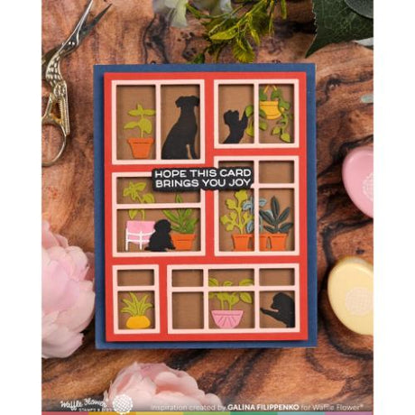 Waffle Flower - Postage Collage Windowsill Plants Die