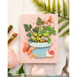 Waffle Flower - Happy Herbs Die