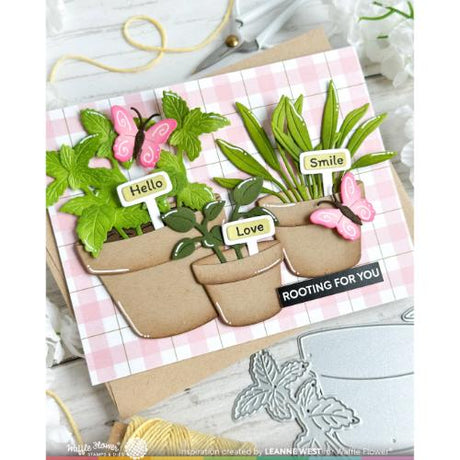 Waffle Flower - Happy Herbs Die