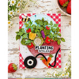 Waffle Flower - Pots and Plants Die
