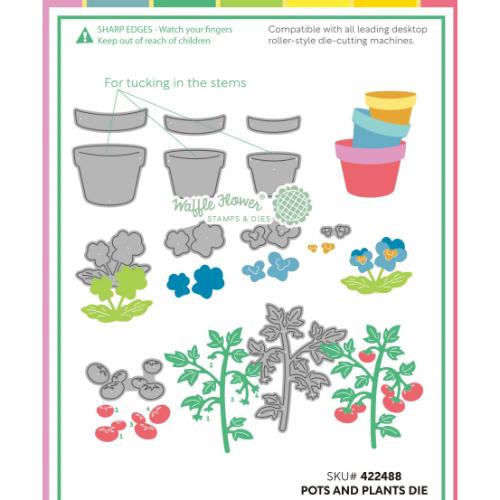 Waffle Flower - Pots and Plants Die