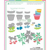 Waffle Flower - Pots and Plants Die