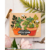 Waffle Flower - Pots and Plants Die