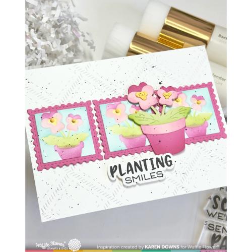 Waffle Flower - Pots and Plants Die