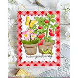 Waffle Flower - Pots and Plants Die