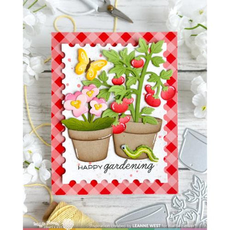 Waffle Flower - Pots and Plants Die