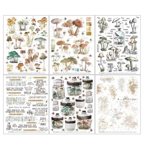 49 And Market Nature Study Rub-Ons 6"X8" 6/Sheets Mushroom