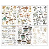 49 And Market Nature Study Rub-Ons 6"X8" 6/Sheets Mushroom