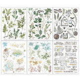 49 And Market Nature Study Rub-Ons 6"X8" 6/Sheets Foliage