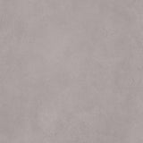 49 And Market Solids Collection Pack 12"X12" Echoes Of Time - Postage as per Actual